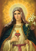 Sagrado Coração de Maria (1800)