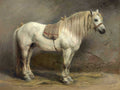 O Cavalo Branco (1866)