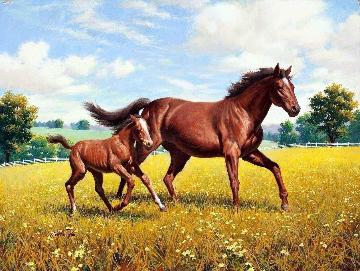 Primeira Corrida