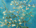 Amendoeira em Flor
