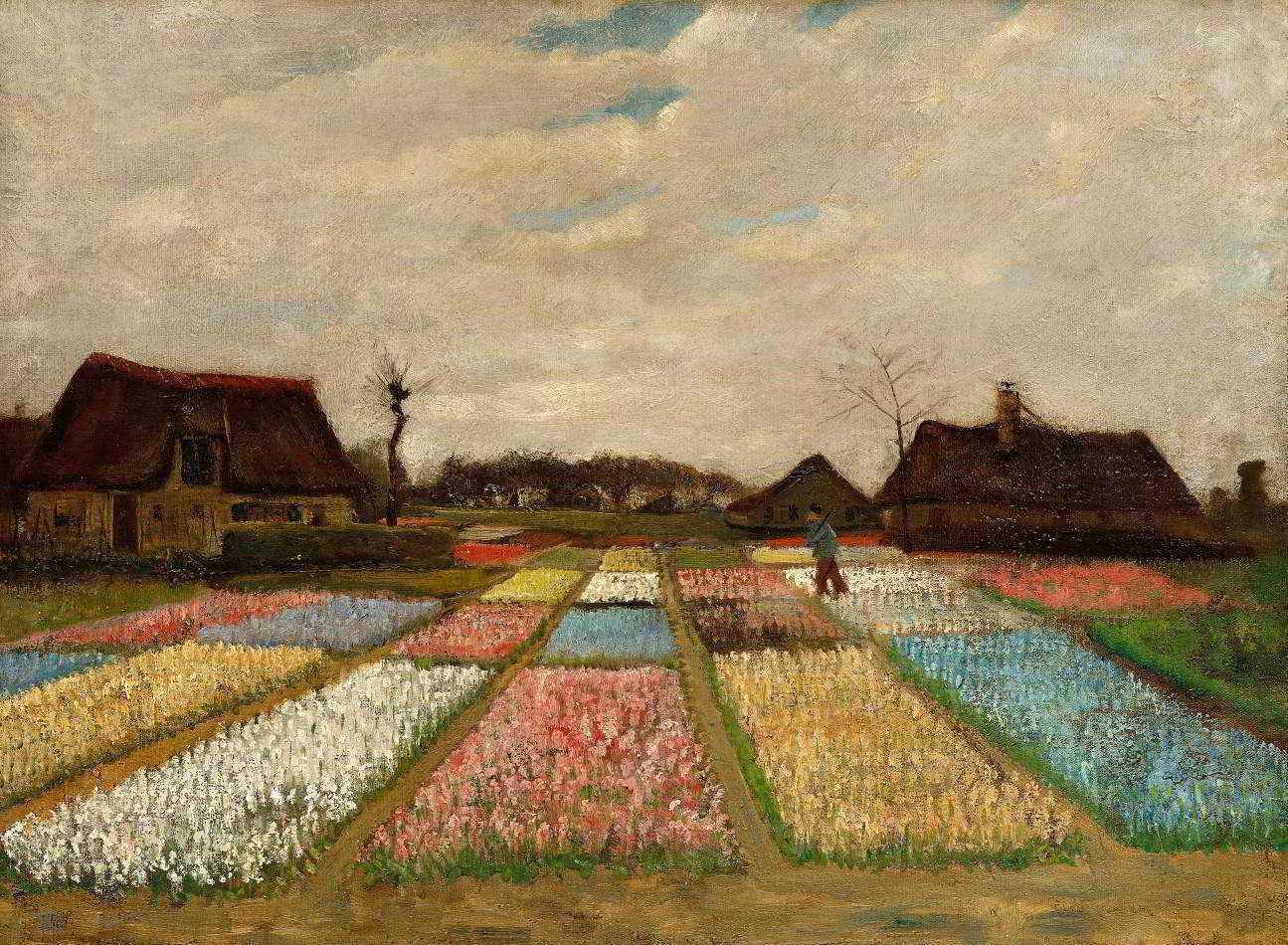 Campos de Flores