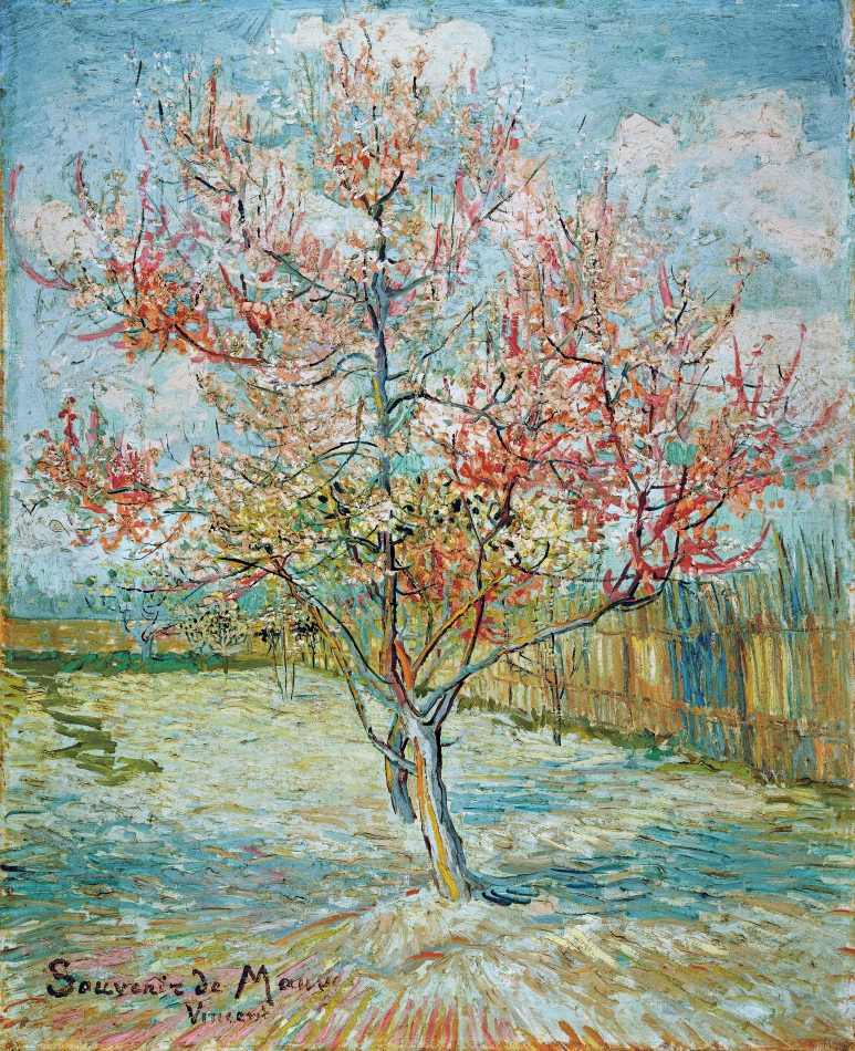 Souvenir de Mauve